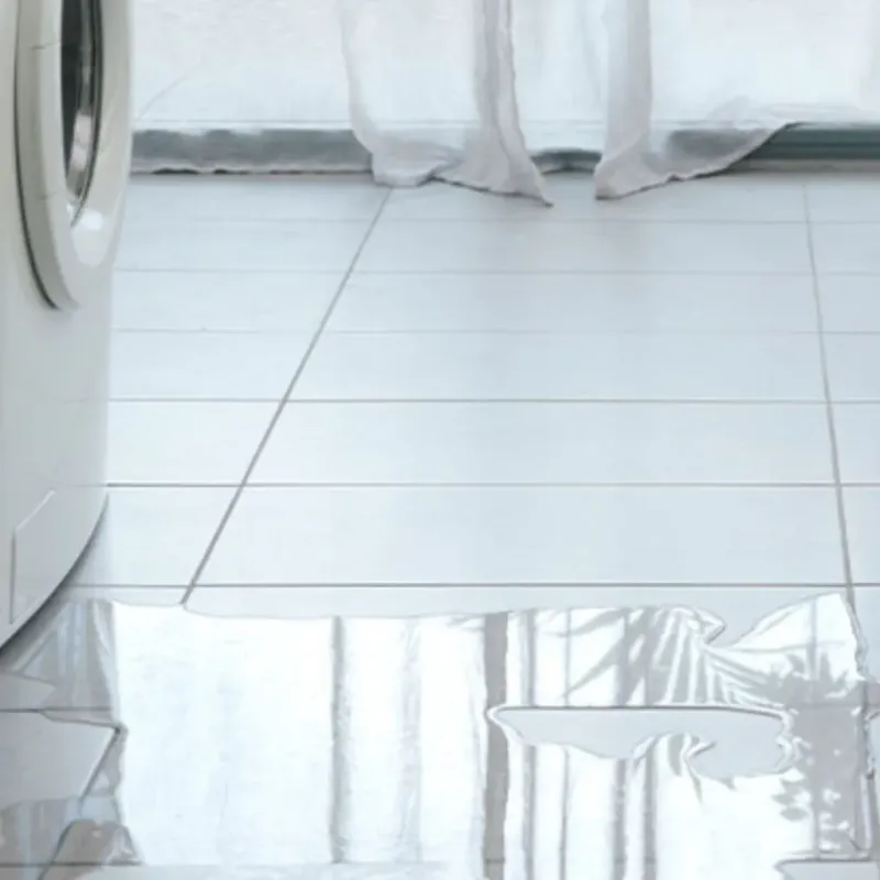 Appliance Leak Cleanup in Bethesda, MD