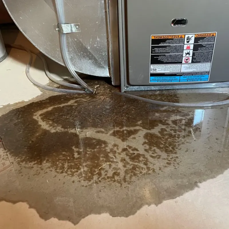 Pipe Burst and Leak Restoration in Bethesda, MD